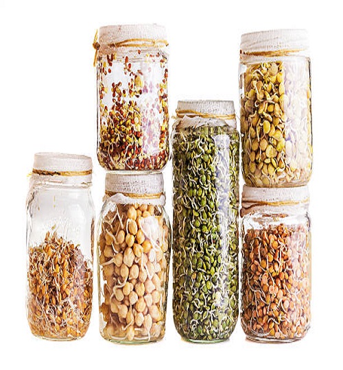 Stack of Different Sprouting Seeds Growing in a Glass Jar Isolated on White Background