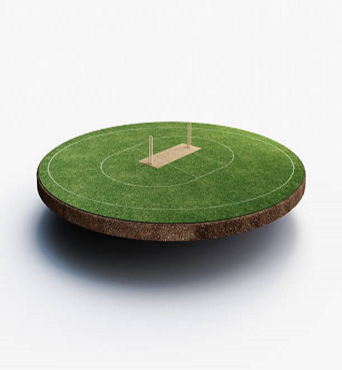 Cricket Stadium Front view on cricket pitch or ball sport game field, grass stadium or circle arena for cricketer series, green lawn or ground for batsman, bowler. Outfield 3D Illustration